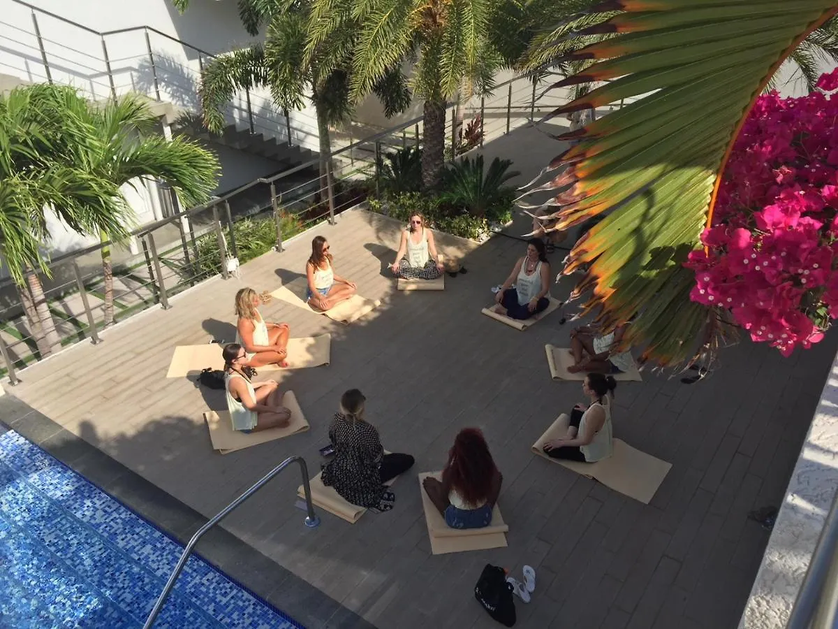 Ocean Z Boutique Hotel Palm Beach